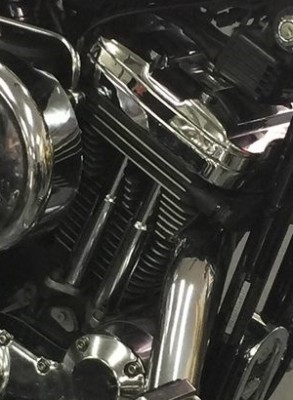 Sportster cropped.jpg