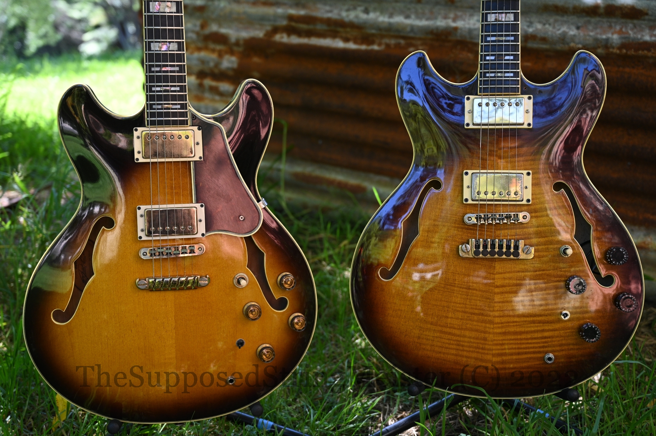 Ibanez AS200 Siblings Closeup -JAY_1910.JPG